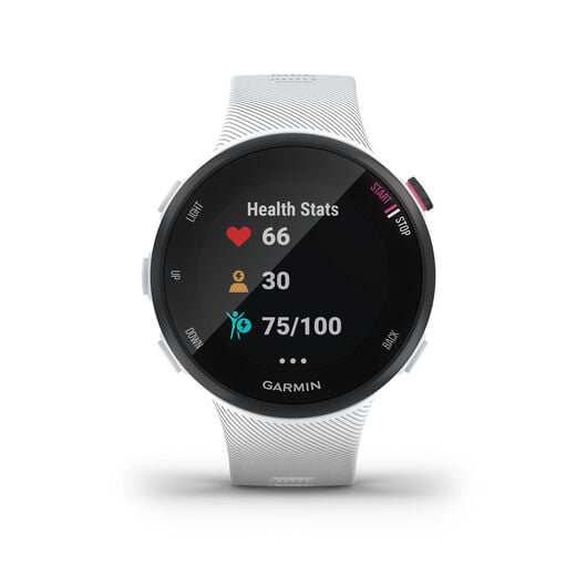 Garmin