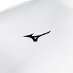 Mizuno