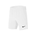 Abbigliamento Da Tennis Nike Court Flex Ace Shorts Boys