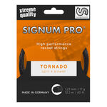 Corde Da Tennis Signum Pro Tornado 12m anthrazit