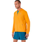 Abbigliamento ASICS ASICS Road Packable Jacket Giacca da corsa Uomini-giallo, blu