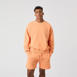 Abbigliamento Björn Borg Björn Borg Borg Oversized Washed Felpa Uomini-Arancione