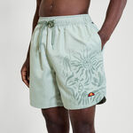 Abbigliamento Ellesse Ellesse Vaycay Pantaloncini Uomini-Salvia