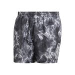 Abbigliamento adidas Own the Run 5inch AOP Short