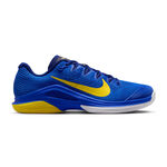 Scarpe da tennis Nike Nike Zoom Vapor 12 Scarpa per tutte le superfici Uomini-blu, giallo