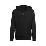 Abbigliamento adidas Smileyworld Hoody