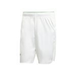 Abbigliamento adidas ERGO SHORTS PRO