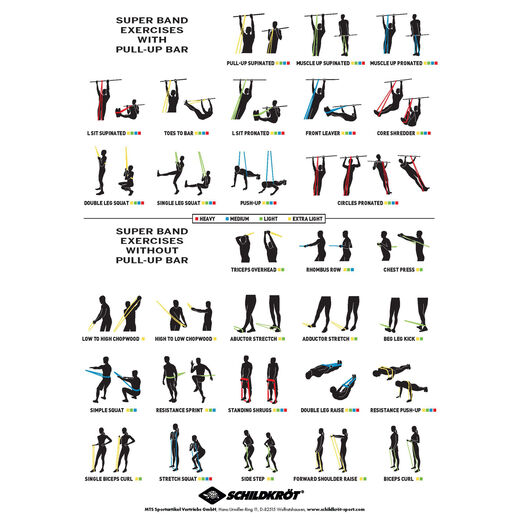 Schildkr&ouml;t Fitness