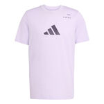 Abbigliamento adidas adidas Category Graphic Maglietta Uomini-Viola,Nero