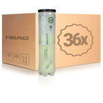 Palline Da Tennis HEAD Gravity 36 Dosen im Umkarton