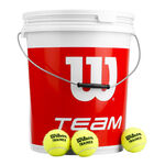 Palline da tennis Wilson Wilson Team W Trainer 72 Tennisbälle im Eimer