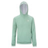 TEAM TERRY HOODIE SAGE Felpa con cappuccio Unisex-salvia
