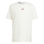 Abbigliamento adidas adidas Designed For Training Intense Maglietta Uomini-Bianco