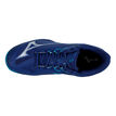 Mizuno
