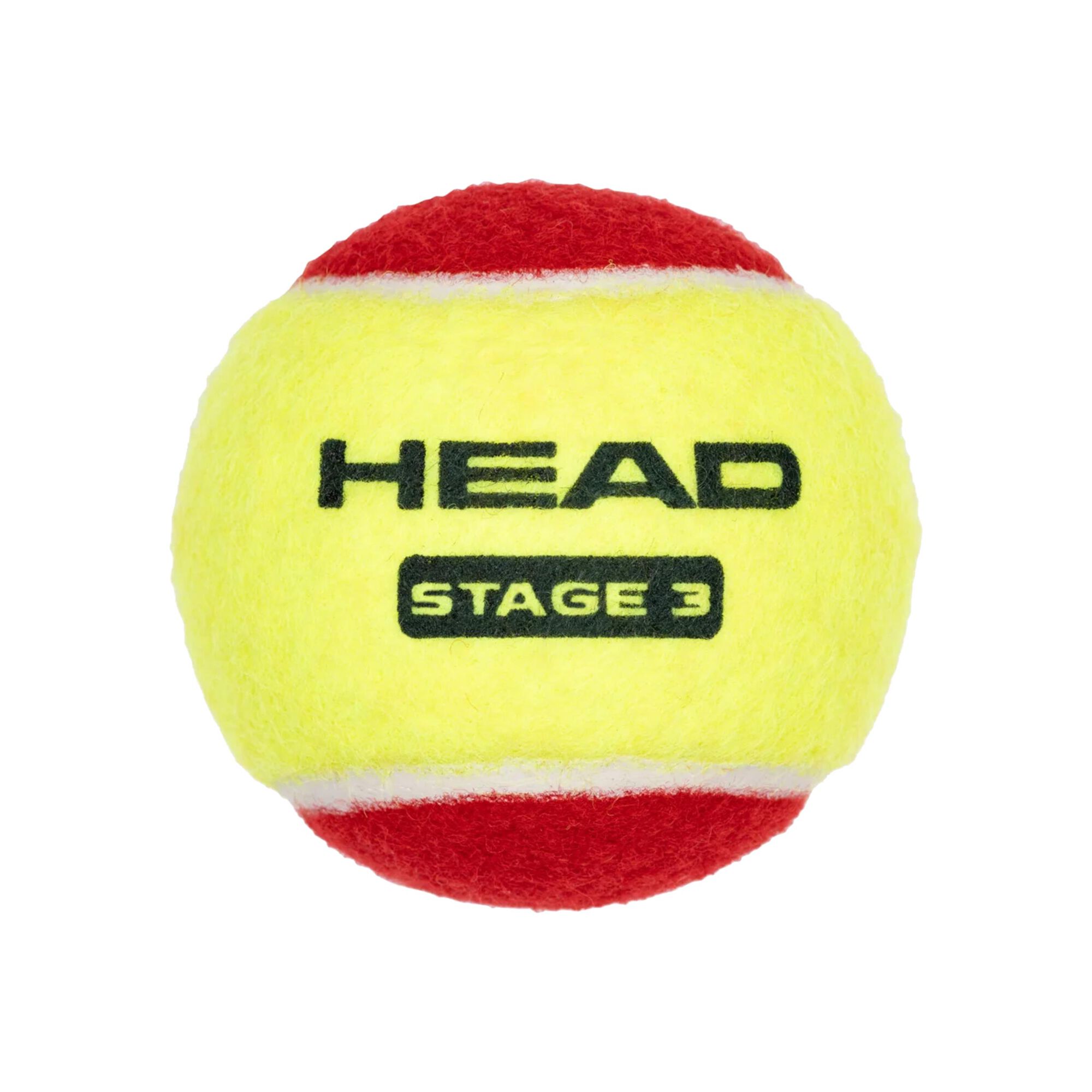 HEAD