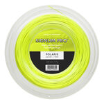 Corde Da Tennis Signum Pro POLARIS 200m