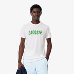 Abbigliamento Lacoste T-Shirt