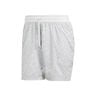 Ergo Pro 7in Pantaloncini Uomini-Grigio Chiaro