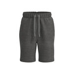 Abbigliamento BIDI BADU BIDI BADU Chill Pantaloncini Uomini-Grigio
