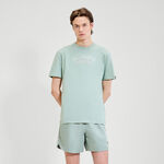 Abbigliamento Ellesse Ellesse Quesco Maglietta Uomini-Salvia