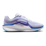 Scarpe da corsa Nike Nike Winflo 11 Scarpe neutrali Uomini-grigio chiaro, blu
