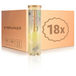 Pallina pressurizzata HEAD HEAD Tour Swiss Official Tubo da 4 