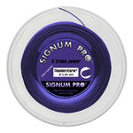 Corde Da Tennis Signum Pro Thunderstorm 120m violett