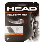 HEAD HEAD Velocity MLT Set Di Corde 12m-Nero