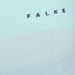 Falke