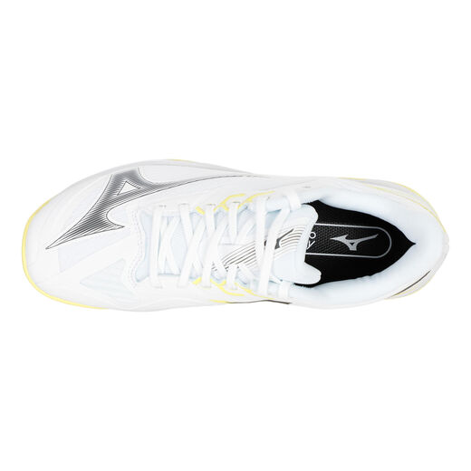 Mizuno