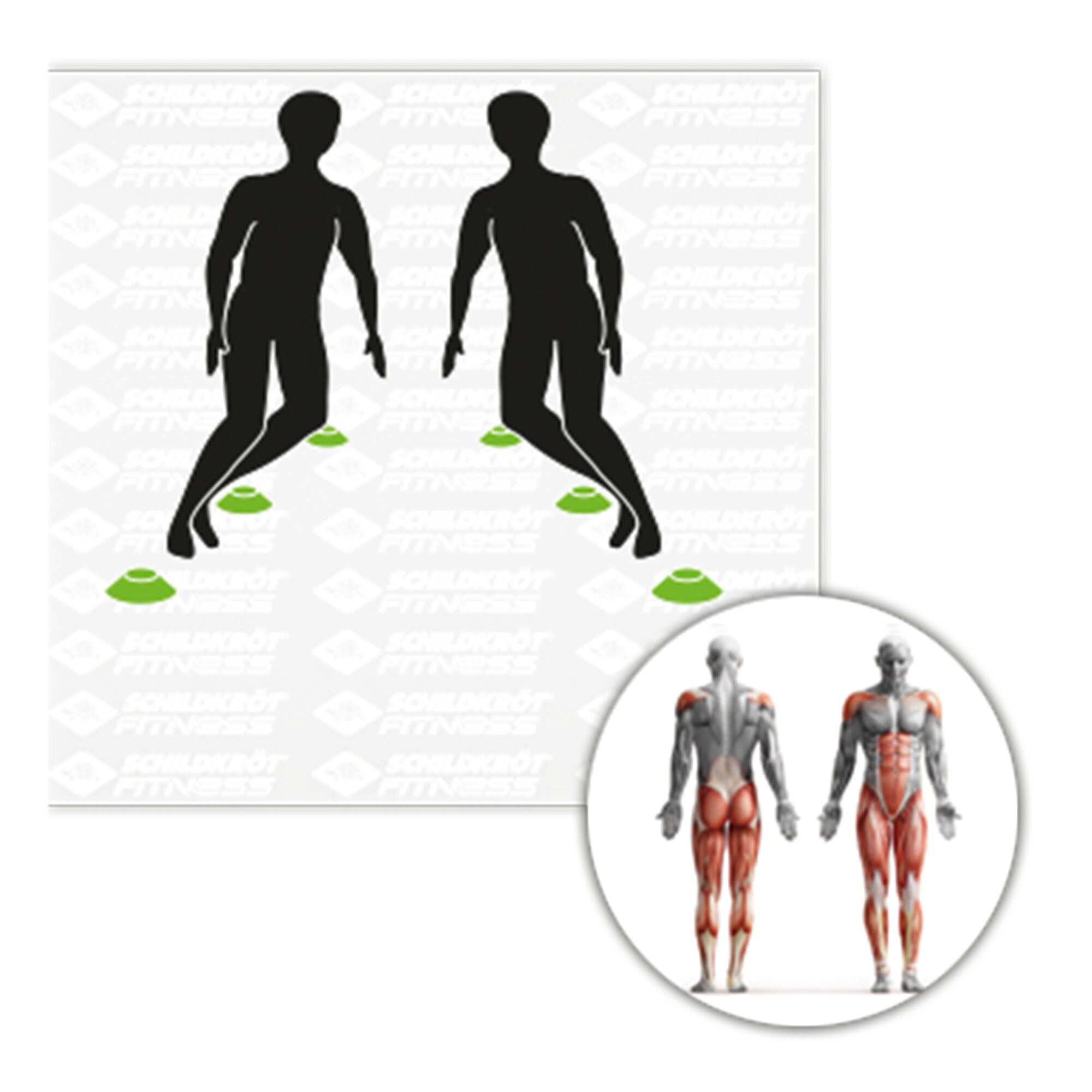 Schildkr&ouml;t Fitness